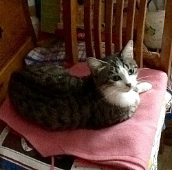 Maman Eglantine