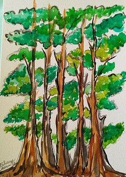 2026 Aquarelle
